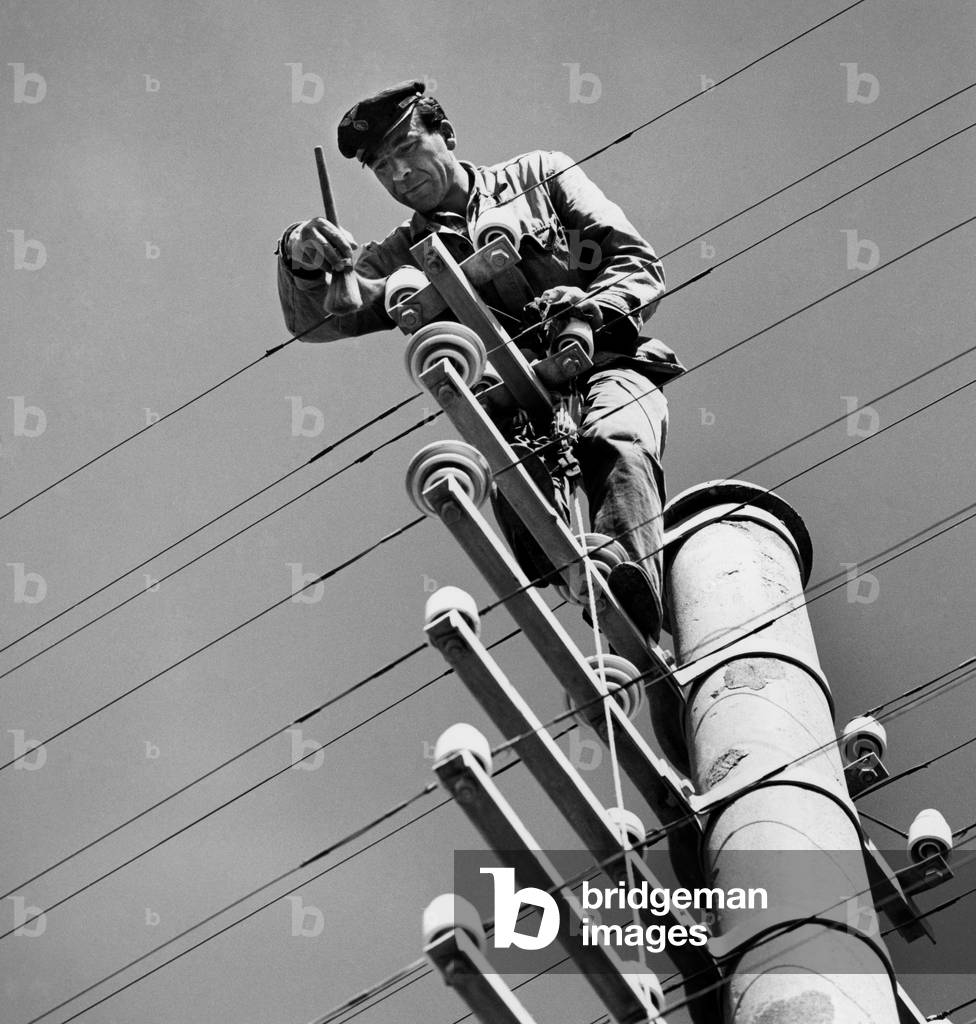 Telegraph Maintenance Workers, 1963 (b/w photo)