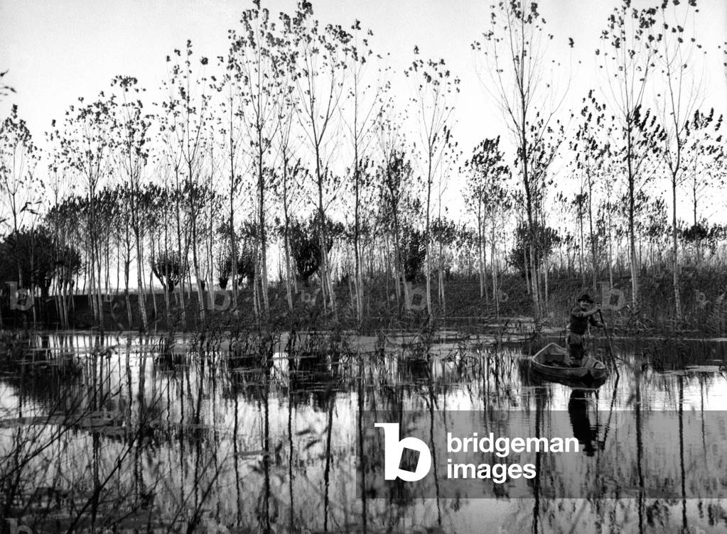 Near Commessaggio, Lombardia, 1960 (b/w photo)