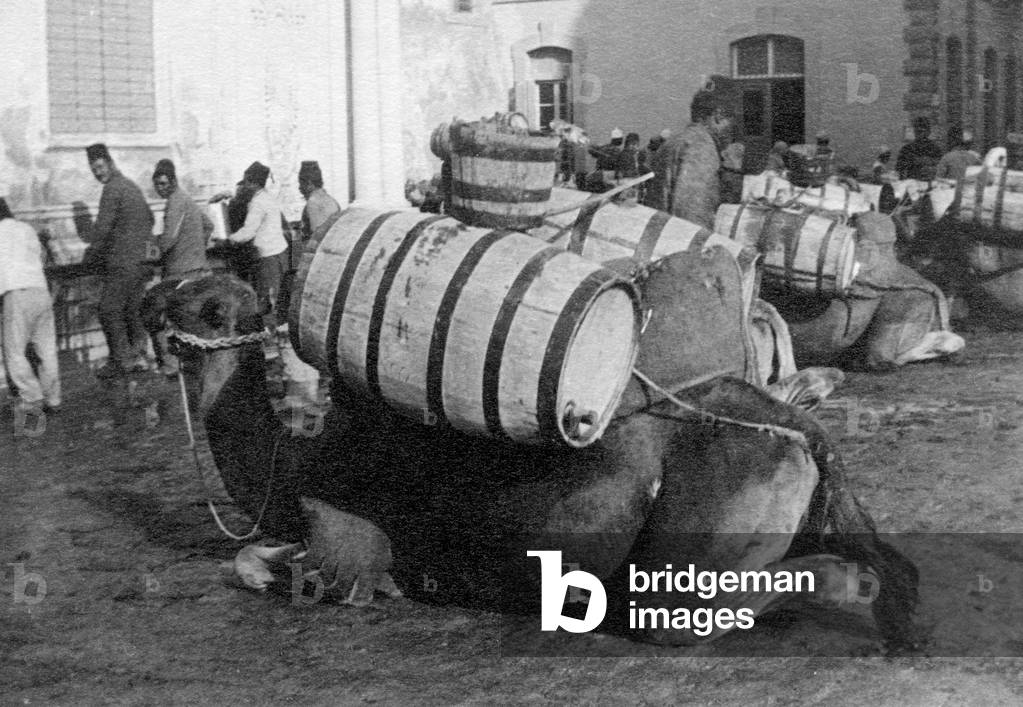 North Africa, Libya, Tripoli, 1910 (b/w photo)