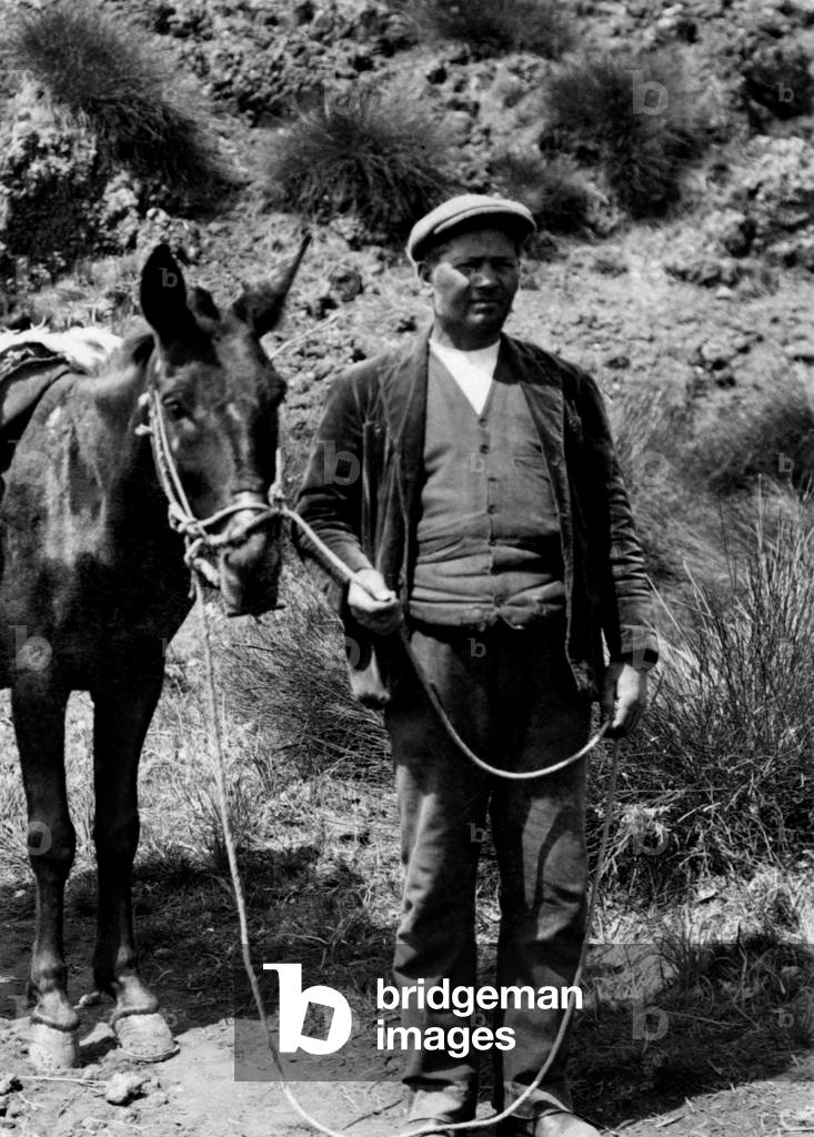 Italy, Sicilia, Un Pastore, 1924 (b/w photo)
