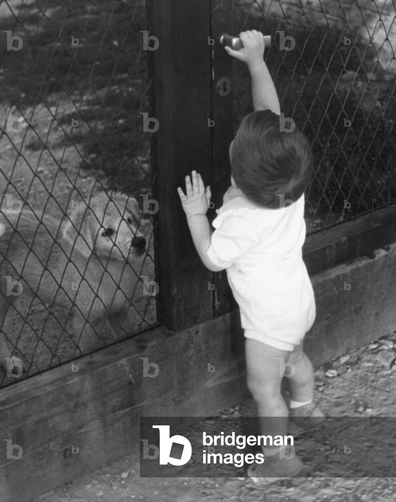 Little Boy, 1957 (b/w photo)