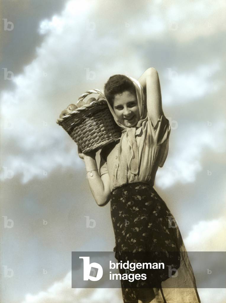 Fruit Harvesting, 1920-30.  (b/w photo)