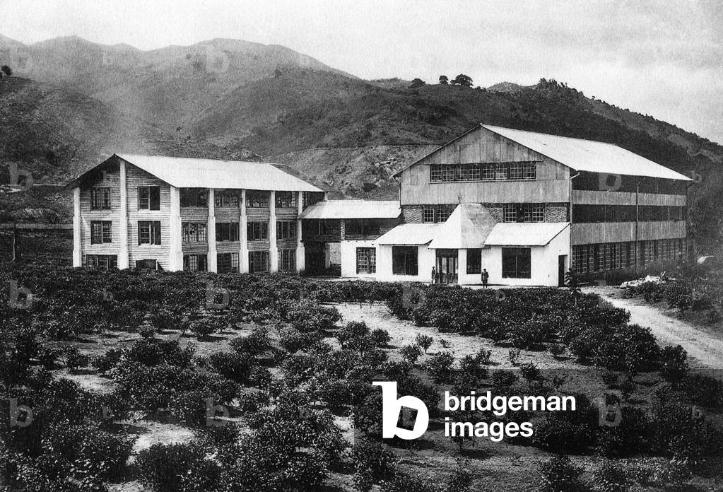 Sri Lanka, a Tea Factory in Tea Plantation, 1920-30 (b/w photo)