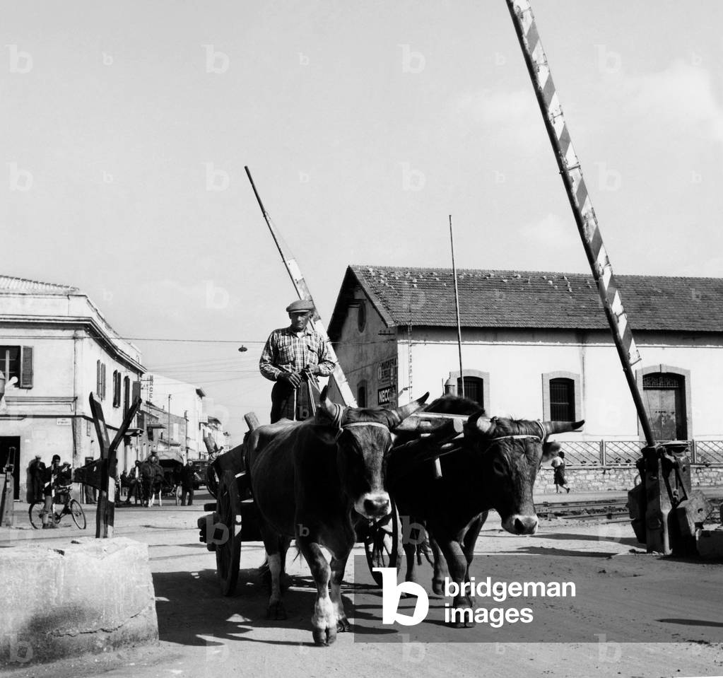 Italy, Olbia-Sassari, Level Crossing, 1962 (b/w photo)