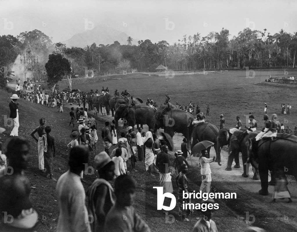 Asia, Sri Lanka, Group of Elephants Lined Up in Ratnapura, 1910 (b/w photo)
