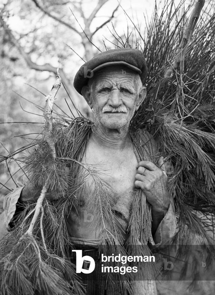 Fisherman, Cervo, Liguria, Italy, 1955 (b/w photo)