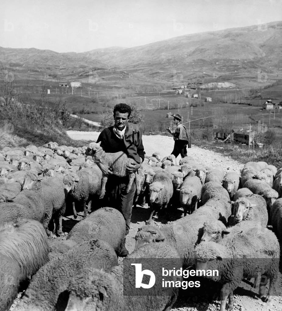 Lazio, shepherds in Carpineto Romano, 1965 (b/w photo)