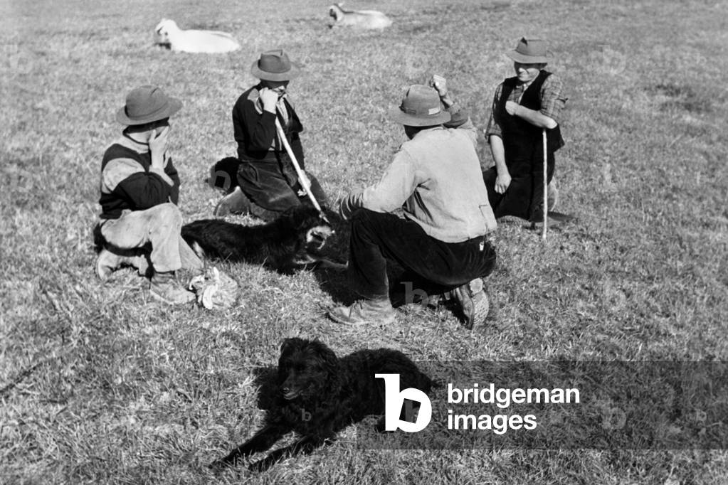 Shepherds, Asti, Piedmont, Italy, 1960 (b/w photo)