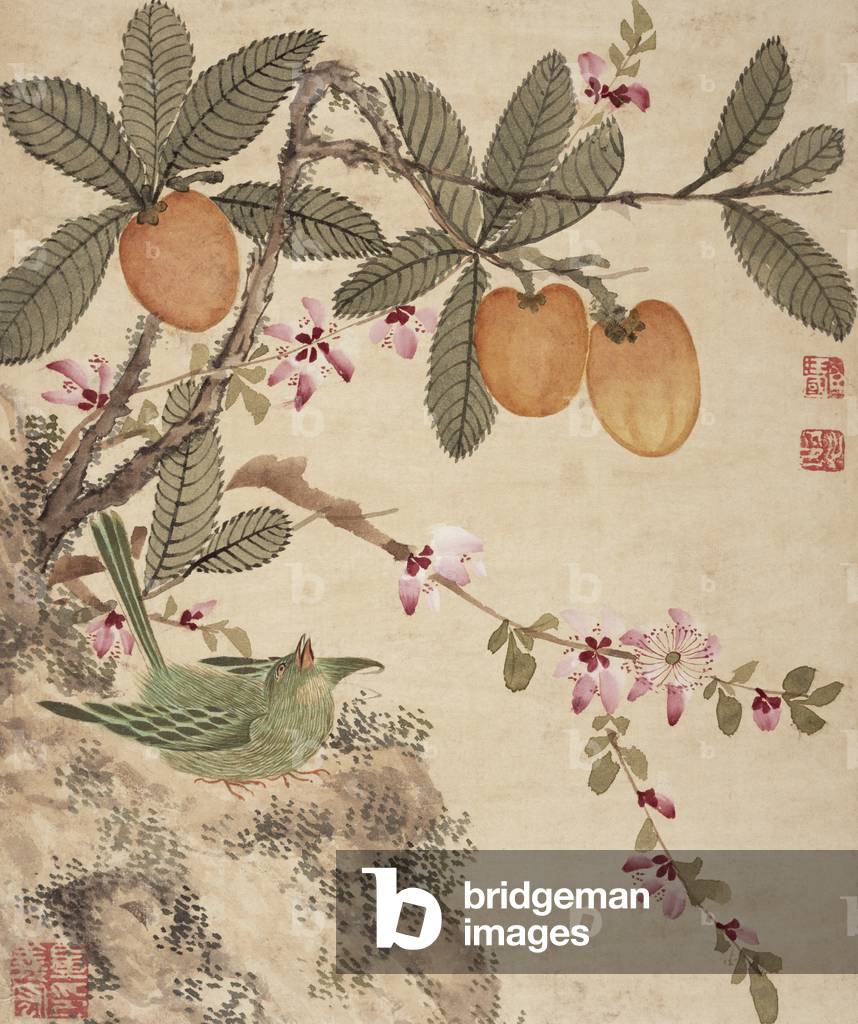 One of a series of paintings of birds and fruit, late 19th century (w/c on paper)