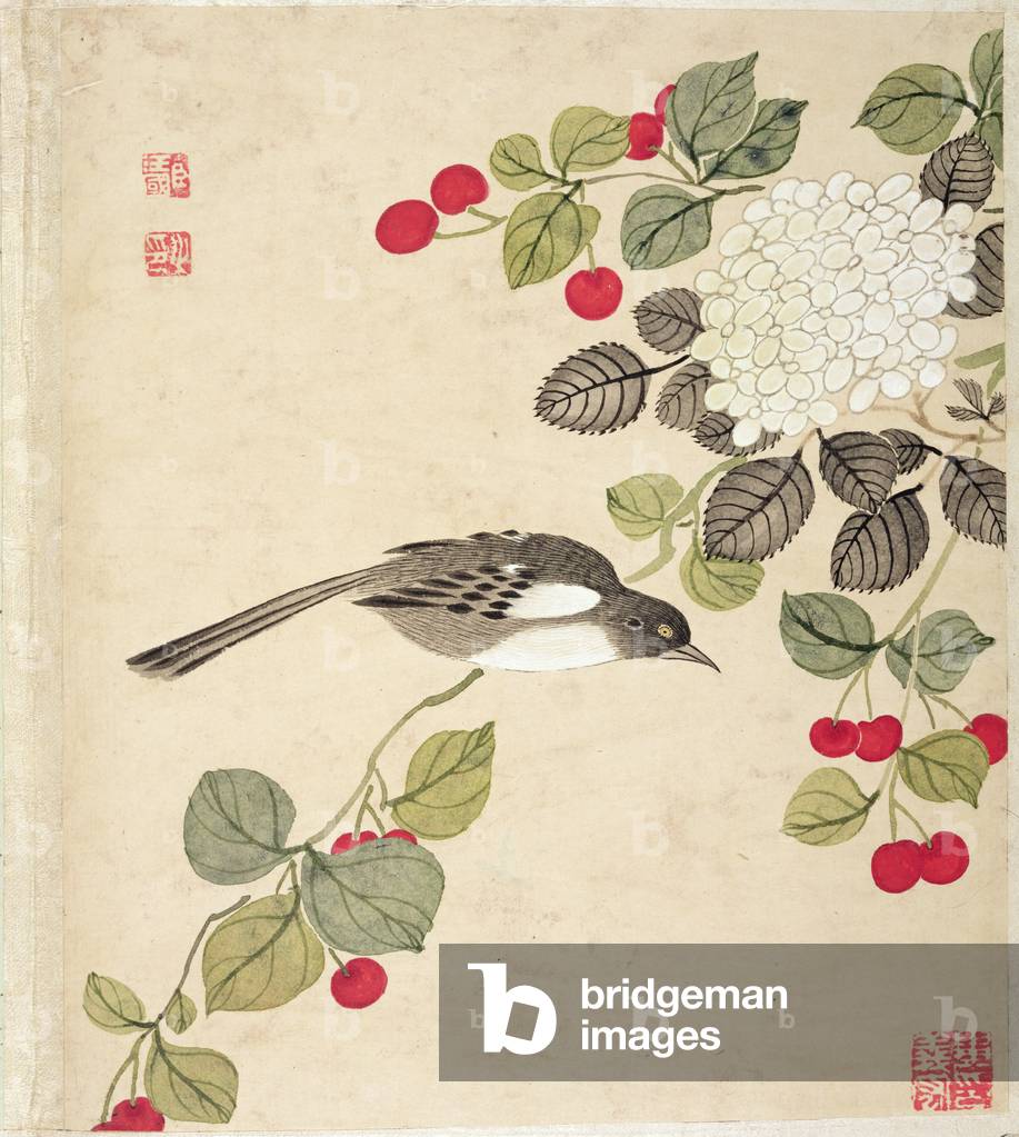 One of a series of paintings of birds and fruit, late 19th century (w/c on paper)