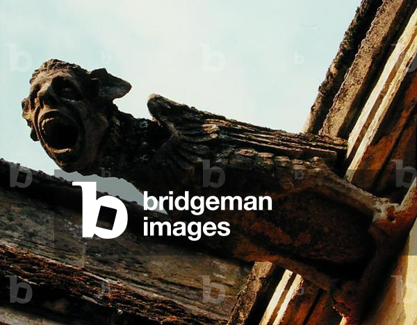 A gargoyle on the North front (stone)