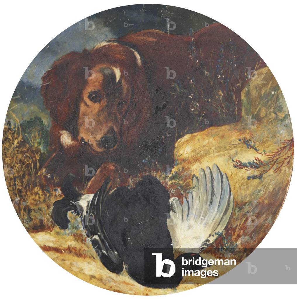 Black Cock and a Setter (after Heywood Hardy)