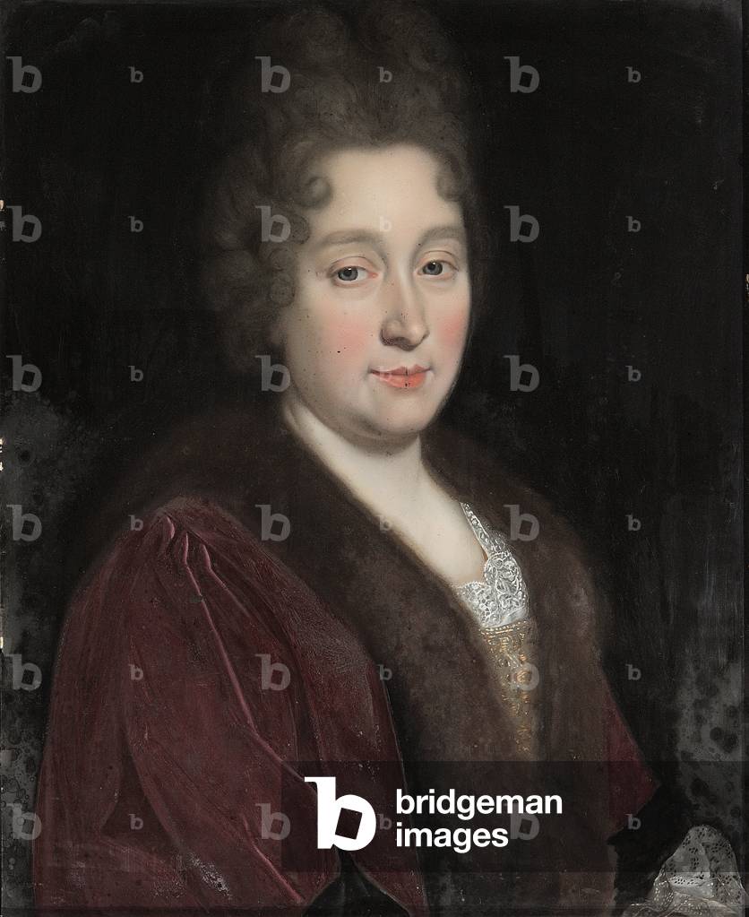 An Unknown Lady in Brown, with a Furred Collar