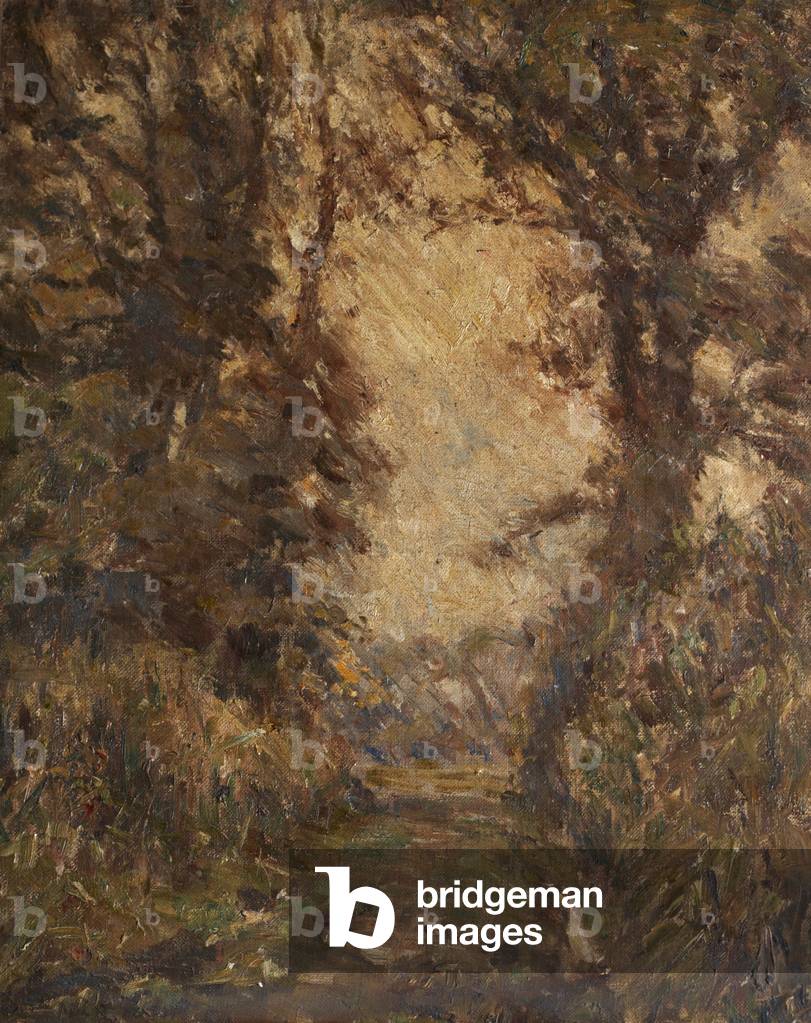 Trees and a Path (oil on canvas)