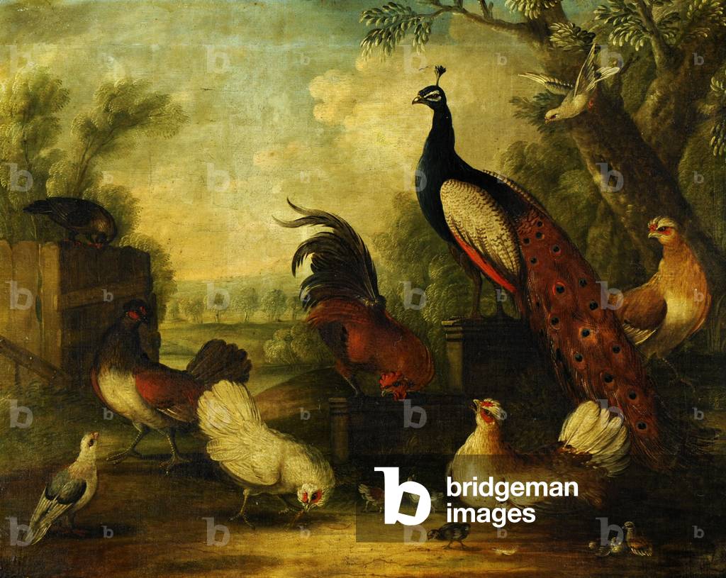 A Group of Ornamental Fowl in a Landscape