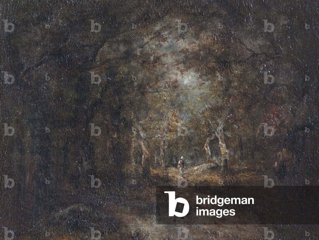 A woodland glade (oil on canvas)