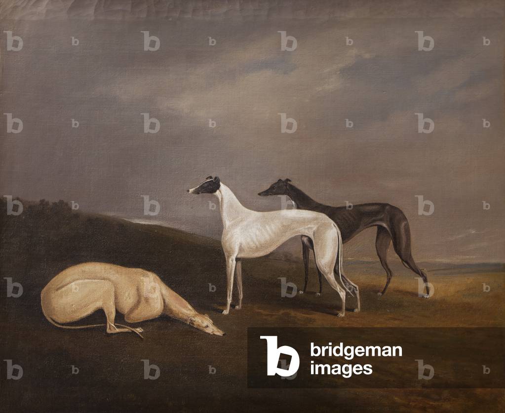 Three Greyhounds in a Landscape