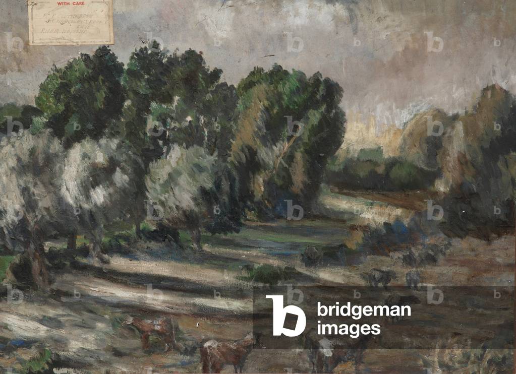 Woodland Scene with Cattle (oil on canvas)
