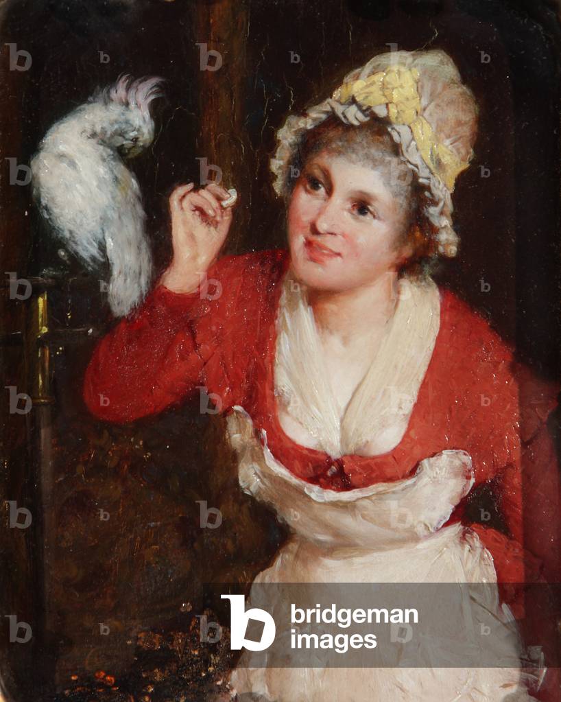 Girl feeding a Parrot