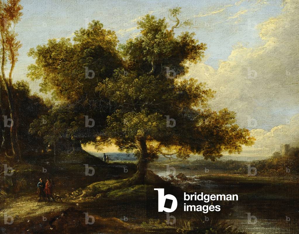 A Wooded Landscape (oil on canvas)