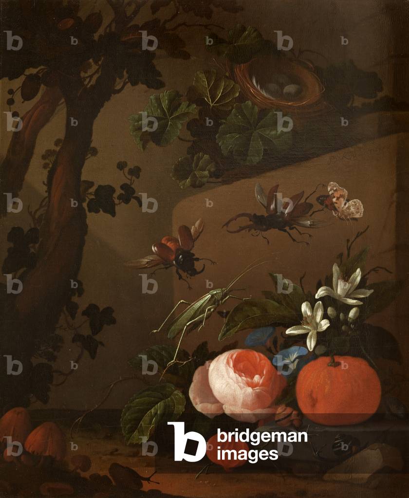 Still Life of Flowers in a Vase, Cape Gooseberries and Stag-beetles