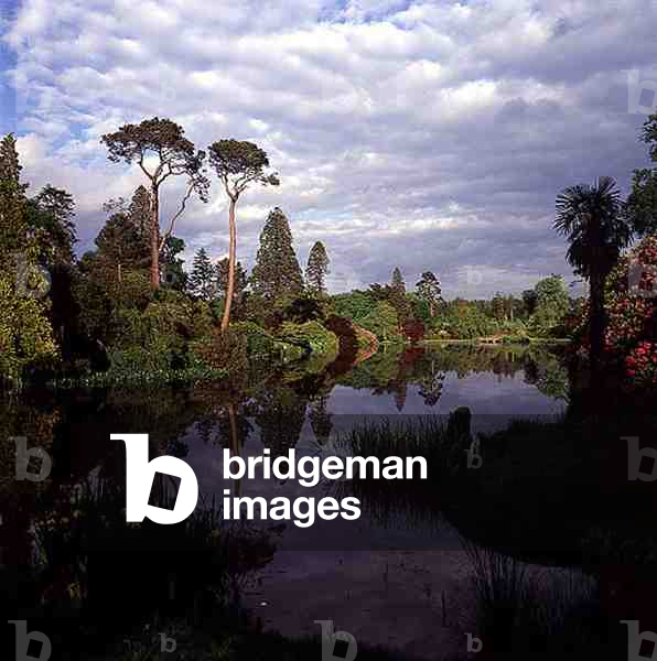 View of one of the lakes (photo)