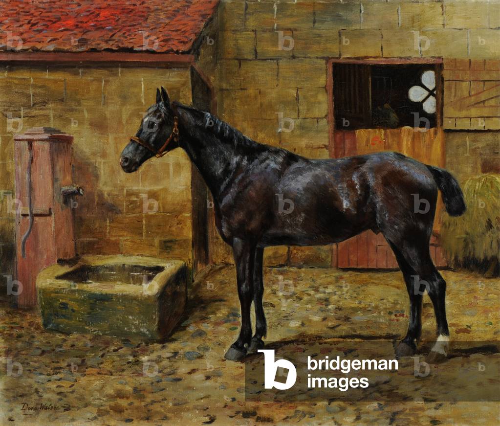 A Black Horse in a Courtyard (oil on canvas)