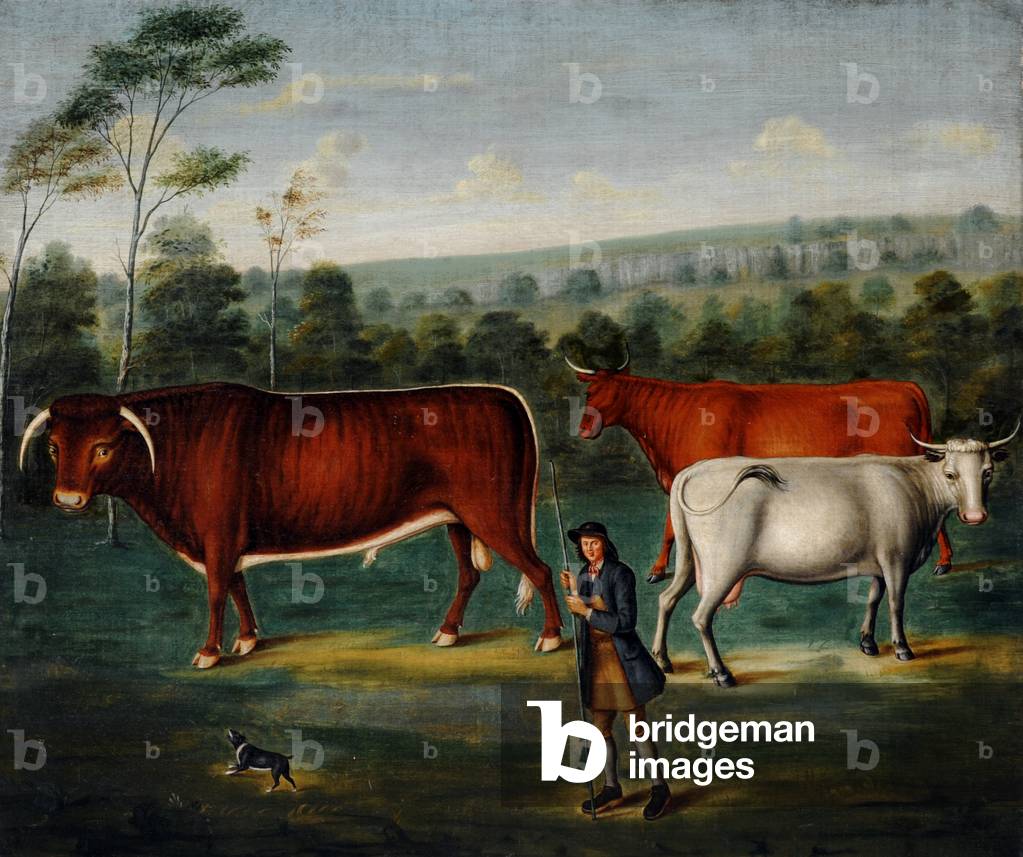 Long-horned Cattle with a Cowherd in a Landscape