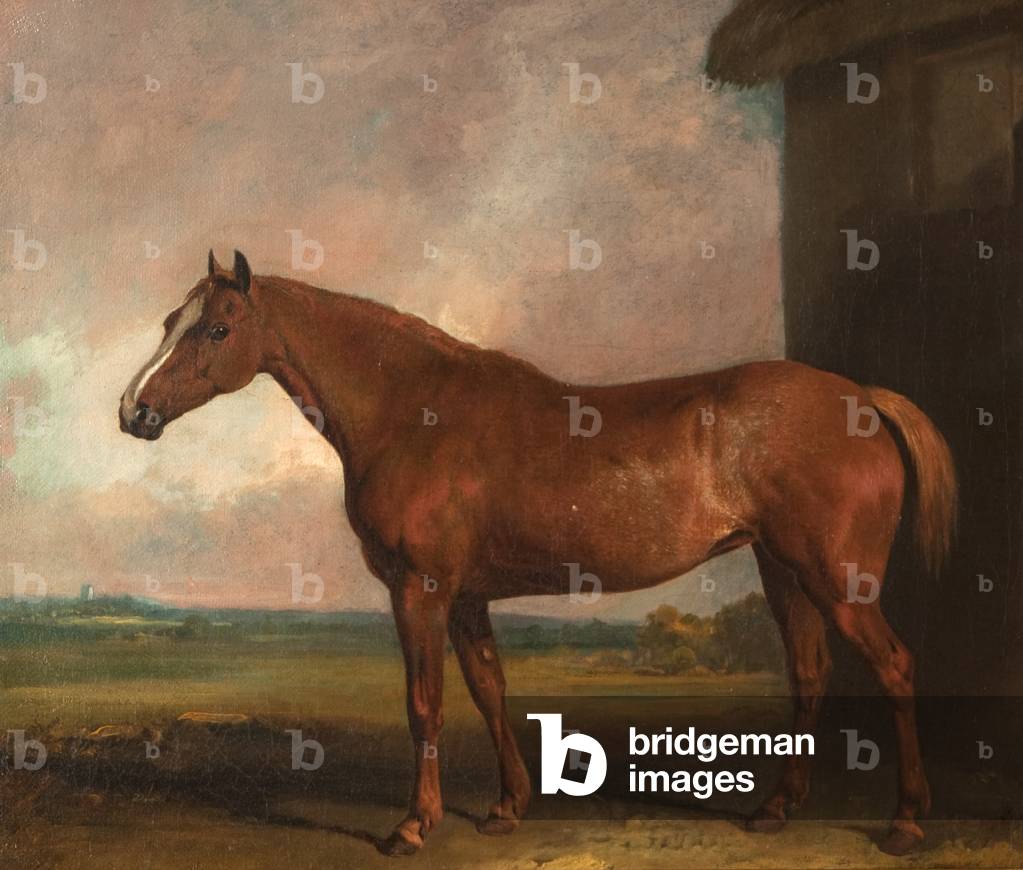 The Favourite Horse of Lord Charles Vere Ferrers Townshend (1785-1853)