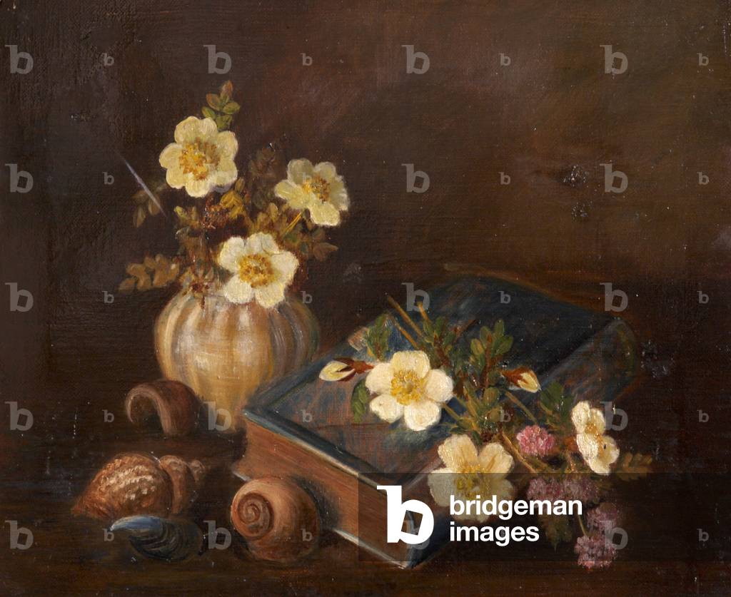 Still Life of Shells and a Casket, 1904 (oil on canvas)