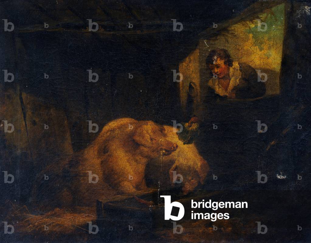 A Young Boy hanging over a Stable Door