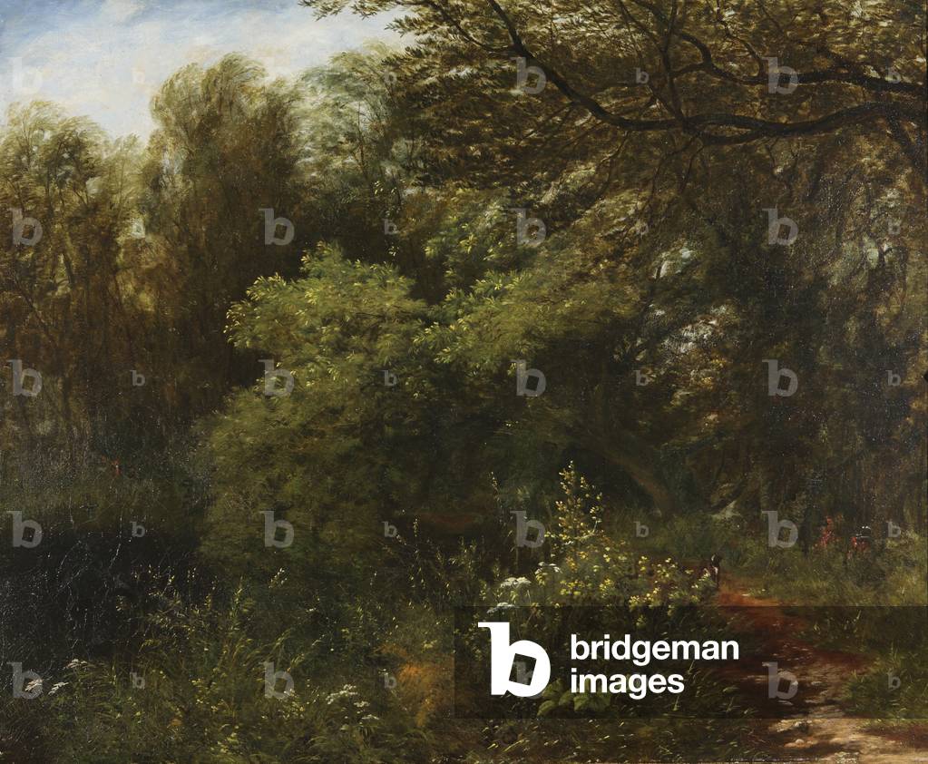 A Woodland Path by a River with a Dog