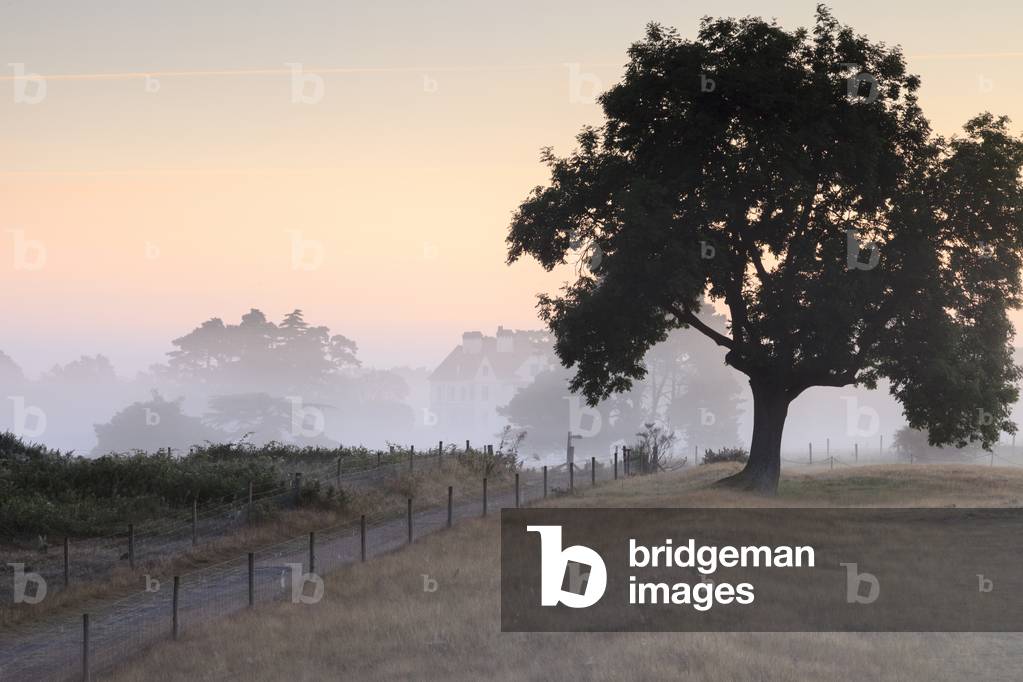Sunset over the famous burial mounds at Sutton Hoo, Suffolk (photo)