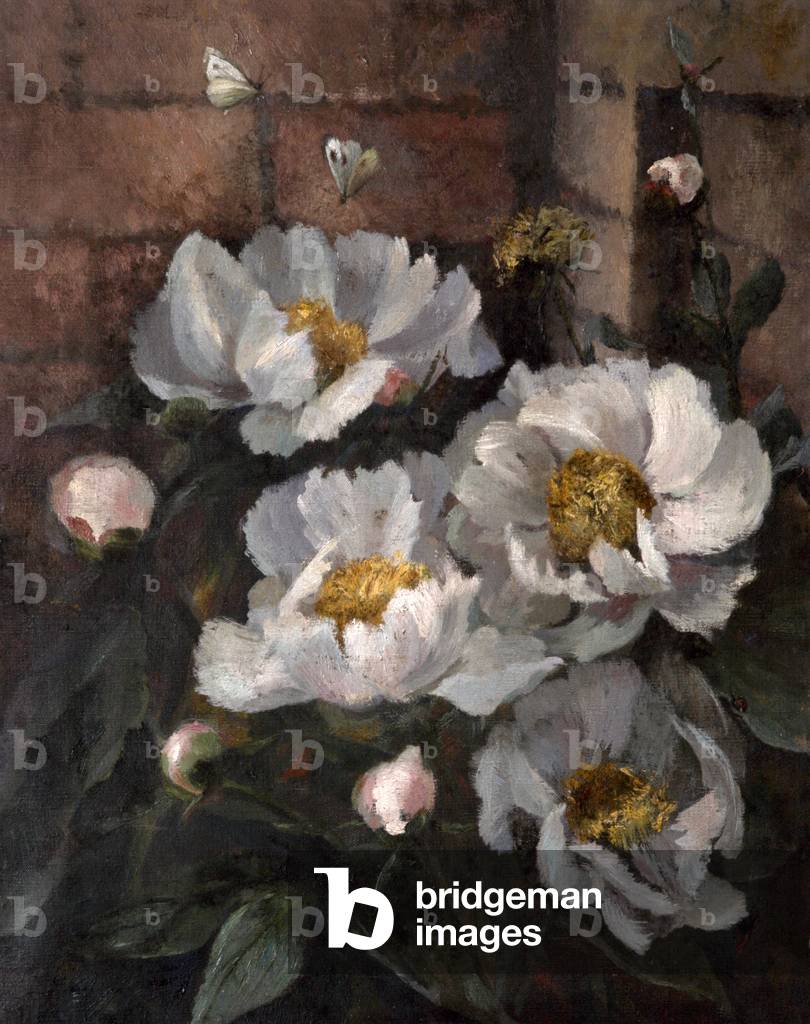 White Peonies (oil on canvas)