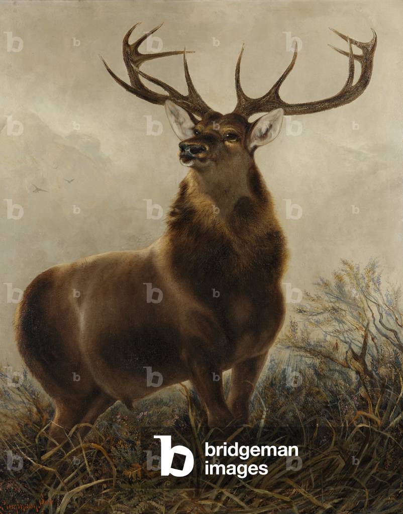 The Monarch of the Glen (after Landseer)