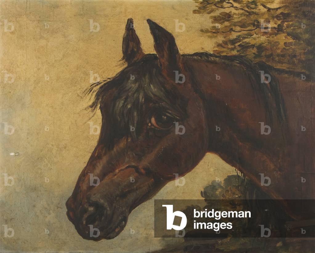 Soulful Bay Horse's Head