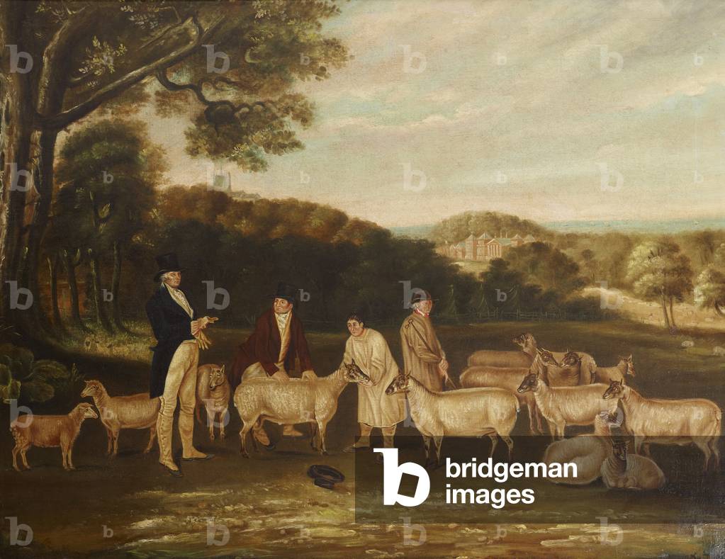 Thomas William Coke, 1st Earl of Leicester, and his Southdown Sheep (oil on canvas)