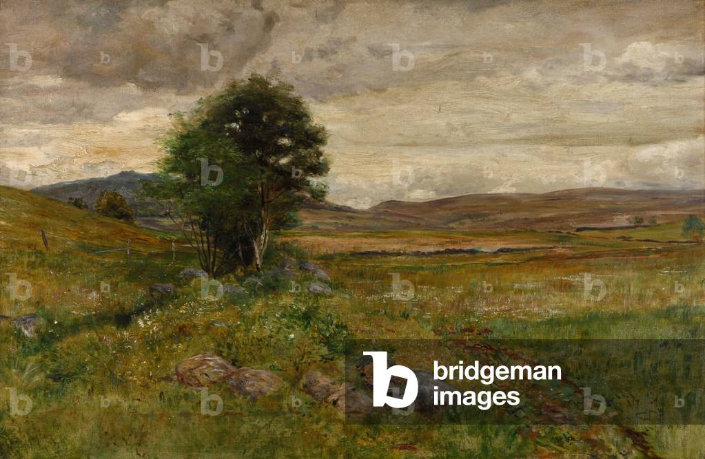 Moorland Landscape with a Tree