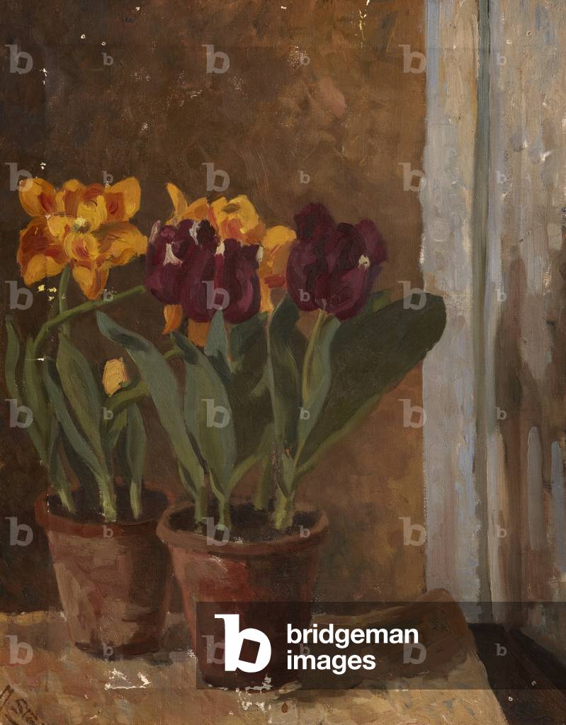 Still Life with Tulips in Two Terracotta Pots (oil on canvas)