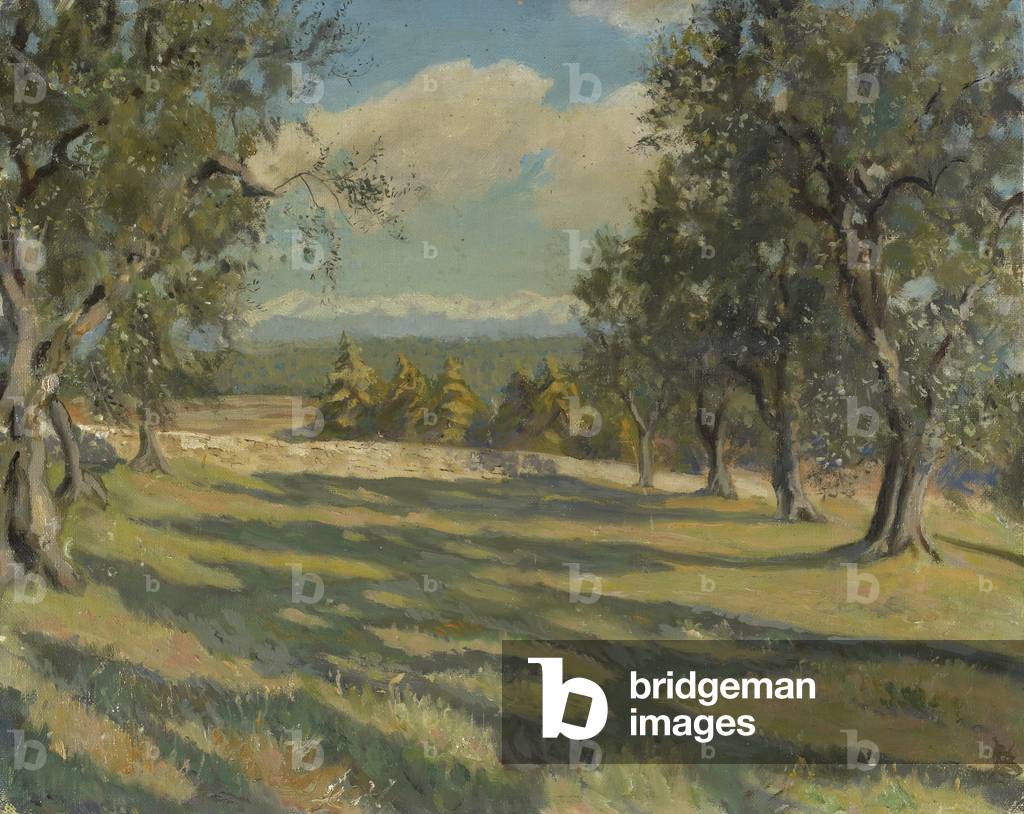 The Wild Garden, Bateman's