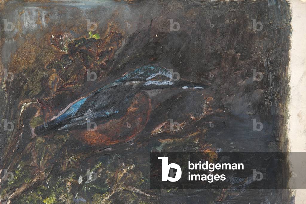 Bird (Kingfisher) (from a portfolio of oil sketches), c.1913 (oil on millboard)