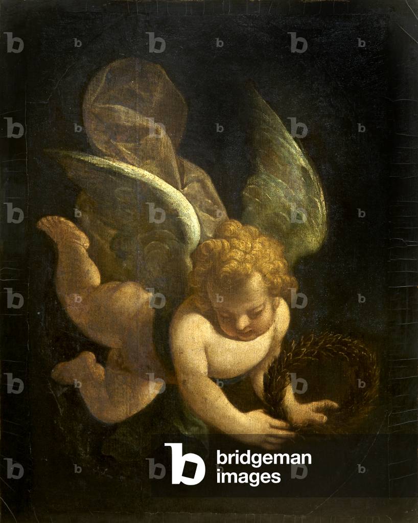 A Cupid carrying a Laurel Wreath