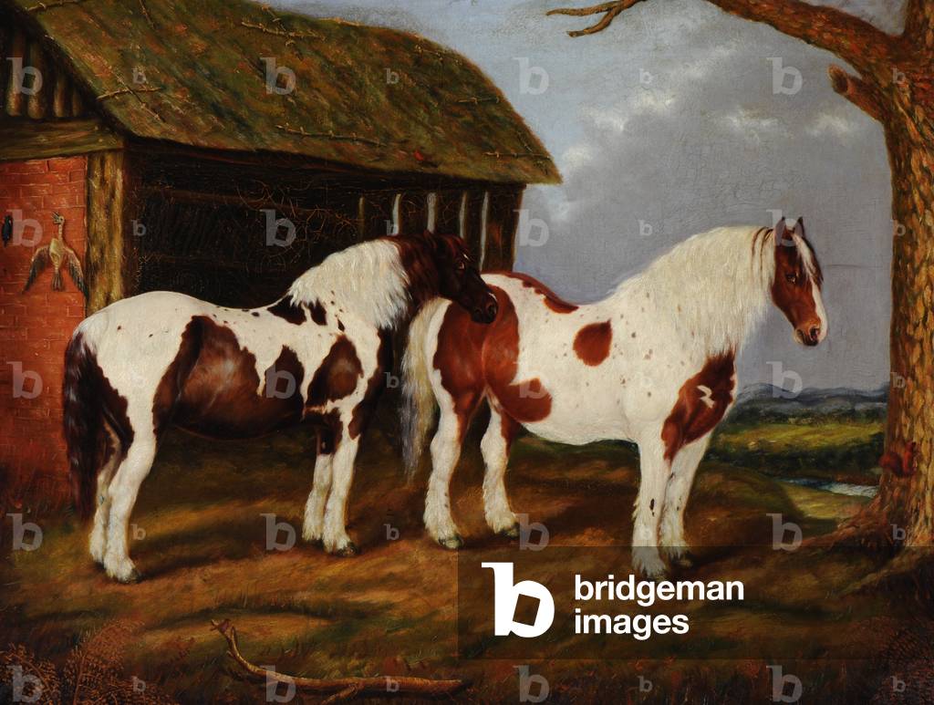 Two Skewbald Horses by a Stable