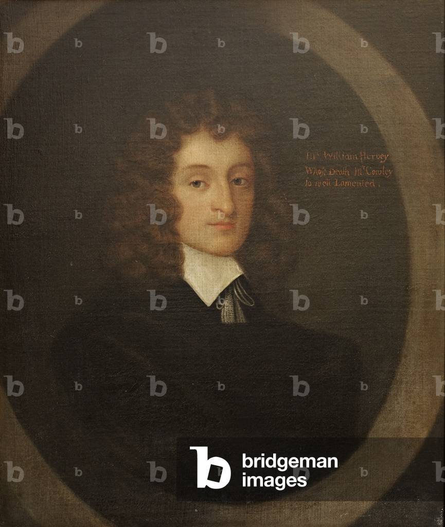 William Hervey (1619-1642)