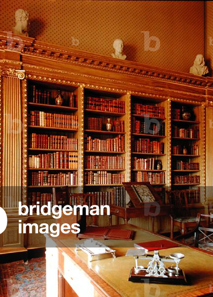 The Library (photo)