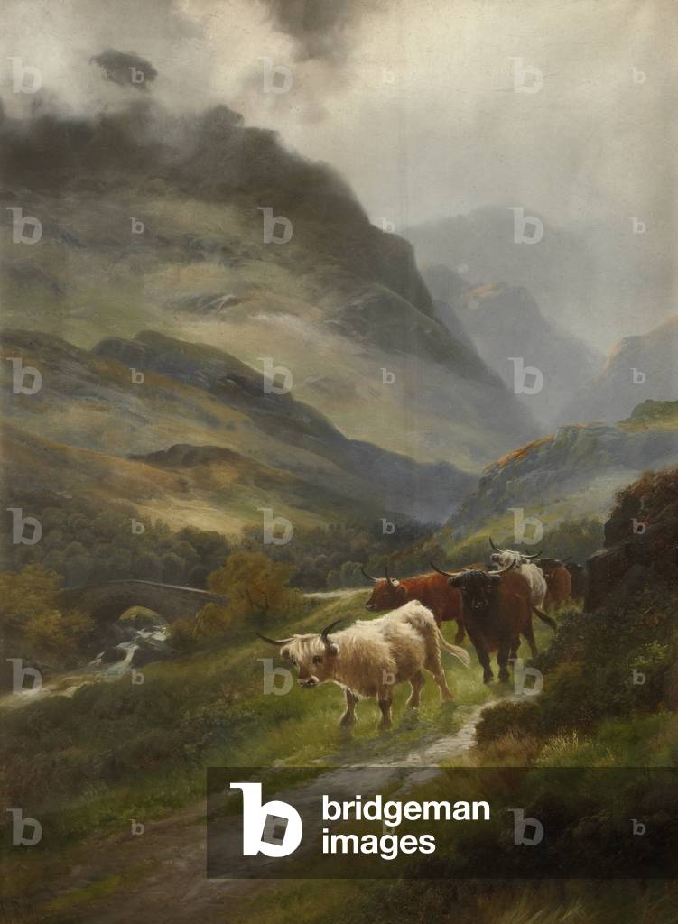 Bulls walking along a hilly path (oil on canvas)