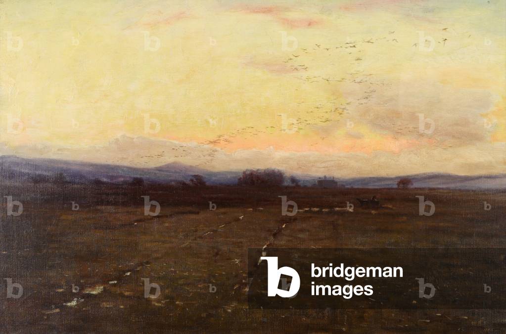 A Sunset with a Flight of Geese