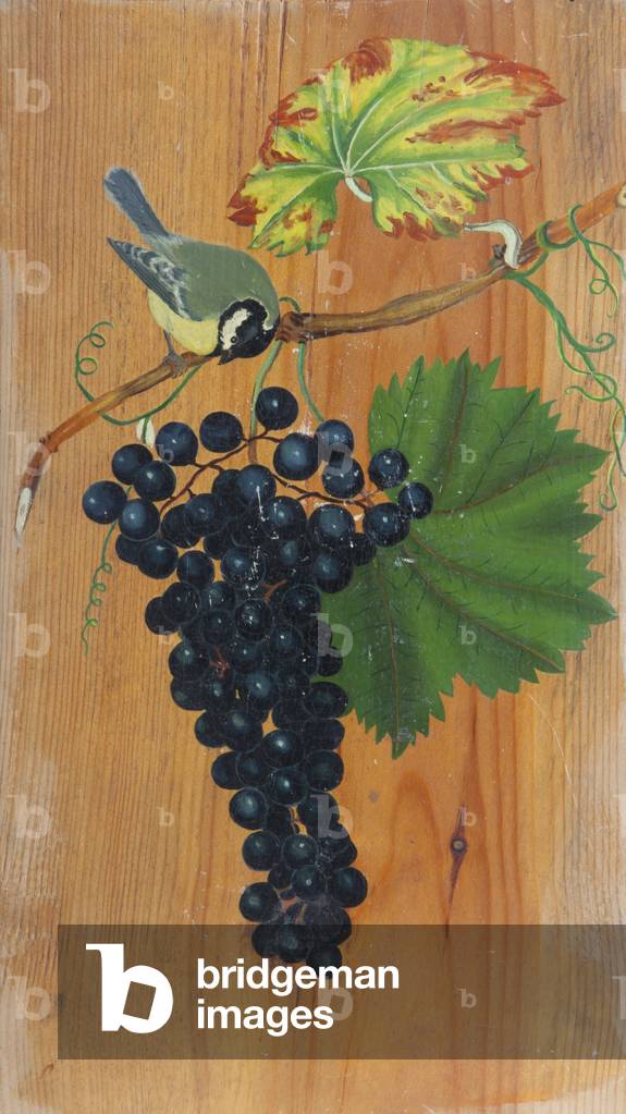 A Coal Tit on a Grape Vine
