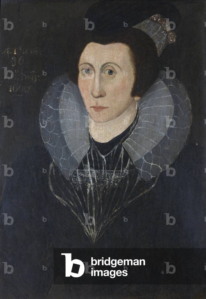 An Unknown Elizabethan Lady, aged 36