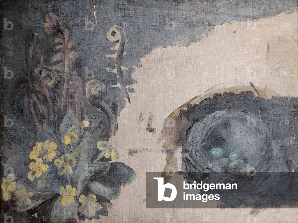 Still Life of Primroses and Bird's Nest (oil on canvas)